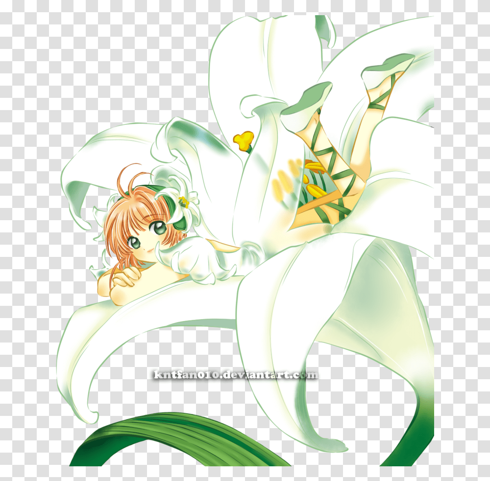 Cardcaptor Sakura Flower White Cartoon, Plant, Blossom, Lily Transparent Png