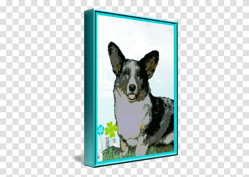 Cardigan Welsh Corgi, Dog, Pet, Canine, Animal Transparent Png