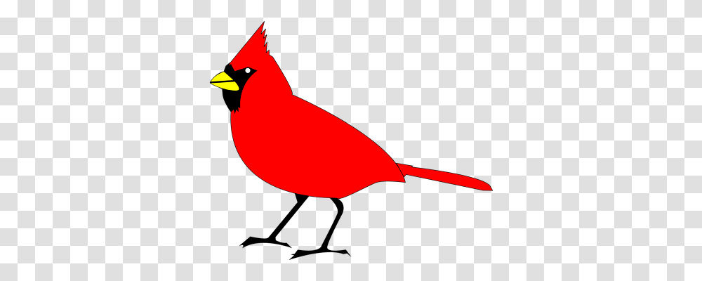 Cardinal Animals, Bird Transparent Png