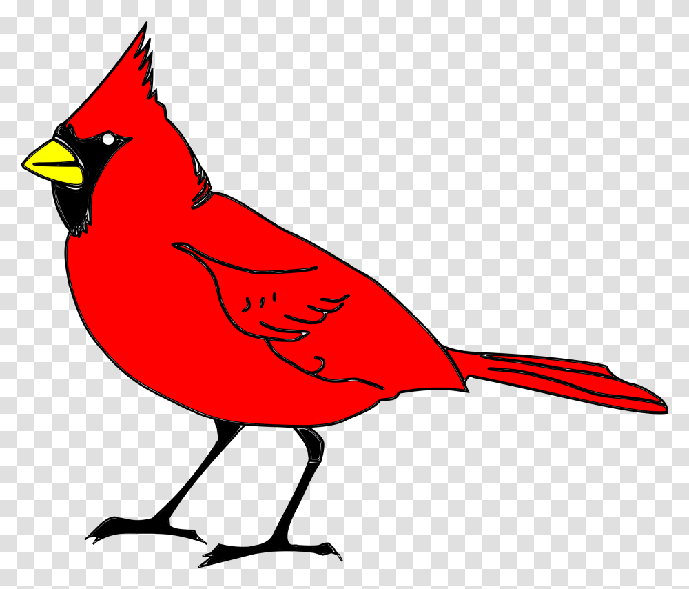 Cardinal 3 Image State Bird For North Carolina, Animal, Symbol, Blue Jay Transparent Png