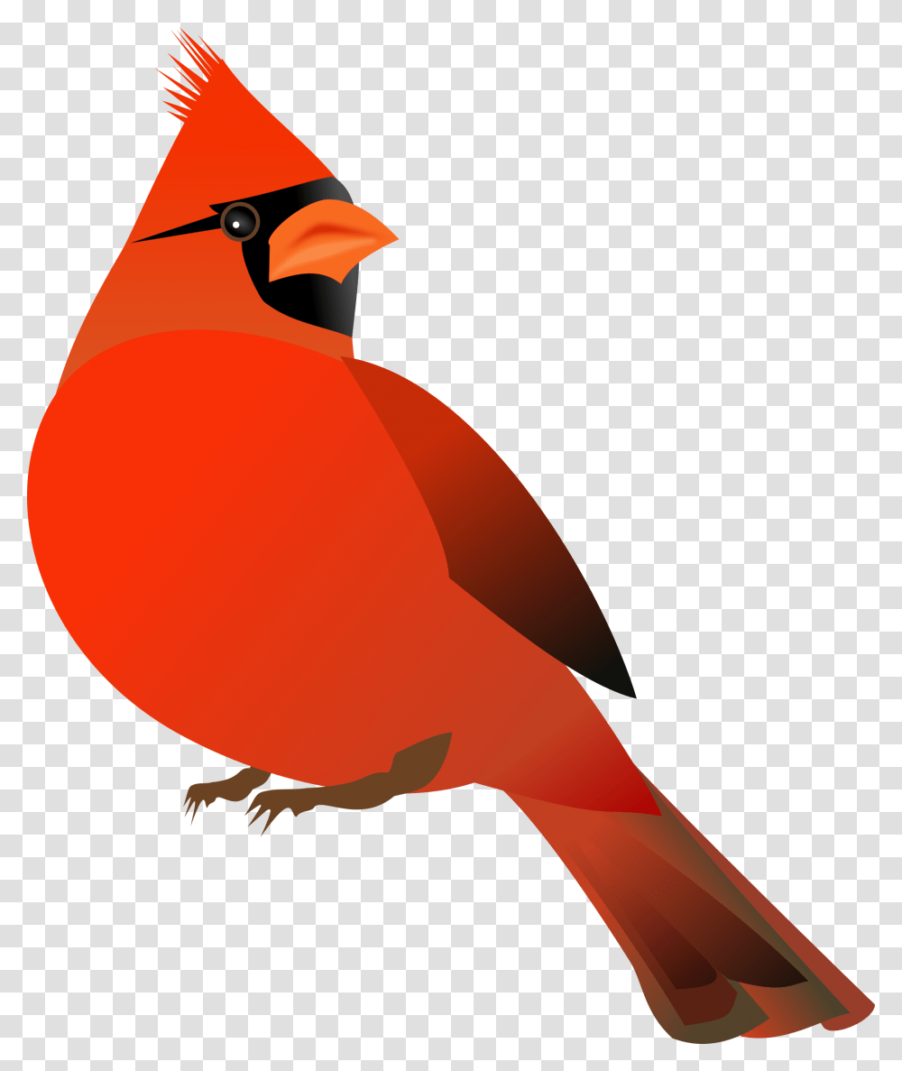 Cardinal Bird 4 Image Cardinal Clipart Free, Animal Transparent Png