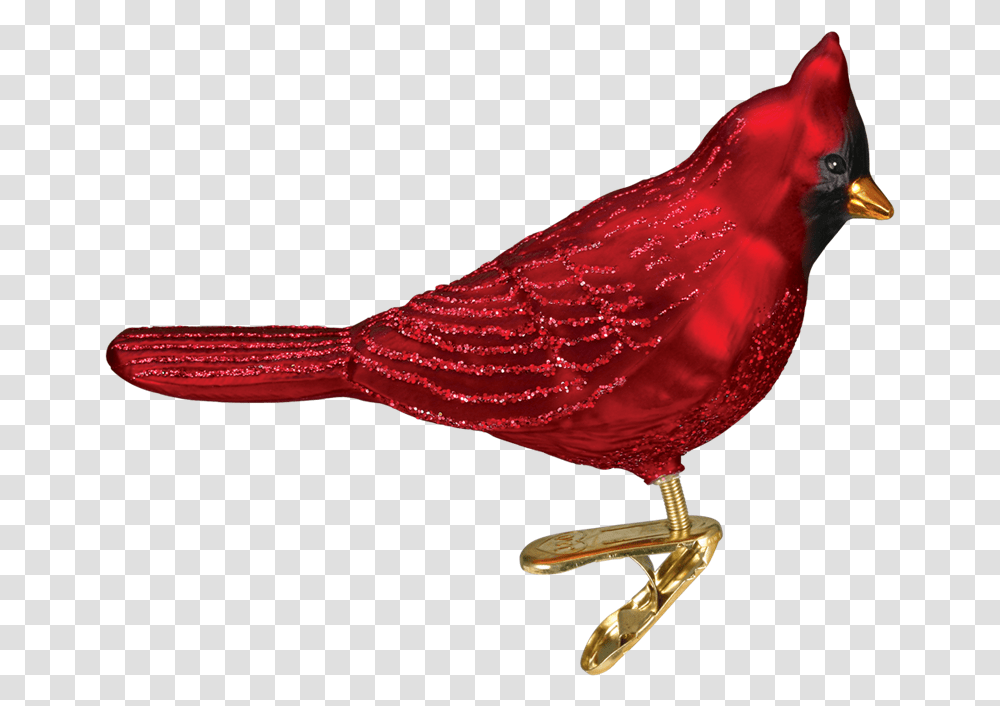 Cardinal Bird Northern Cardinal, Finch, Animal, Canary, Chicken Transparent Png