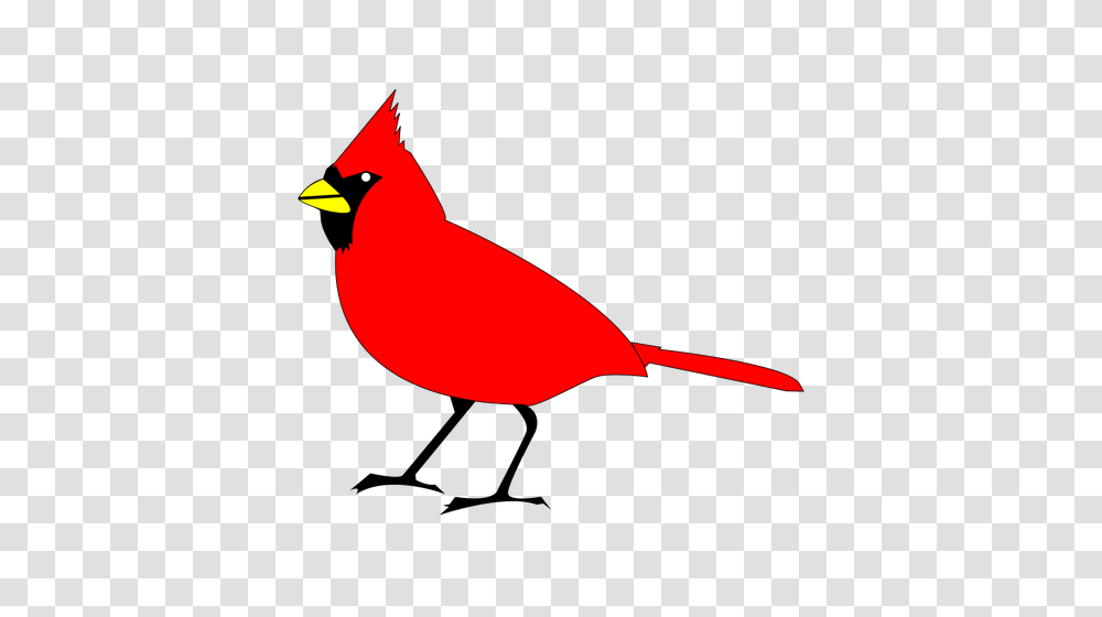 Cardinal Bird Vector Clip Art, Animal Transparent Png