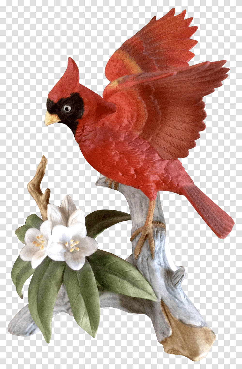 Cardinal Bird Vintage Bird With Red Flowers, Animal, Chicken, Poultry, Fowl Transparent Png