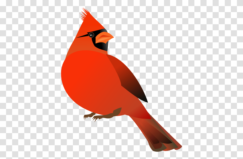 Cardinal Clip Art, Bird, Animal Transparent Png