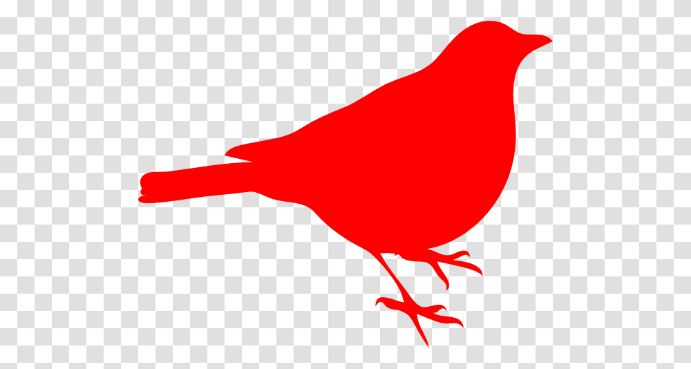 Cardinal Clip Art, Ketchup, Food, Animal, Bird Transparent Png