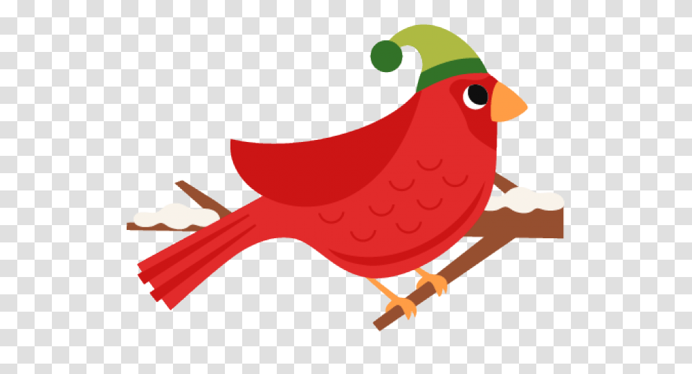 Cardinal Clipart, Animal, Bird, Finch Transparent Png