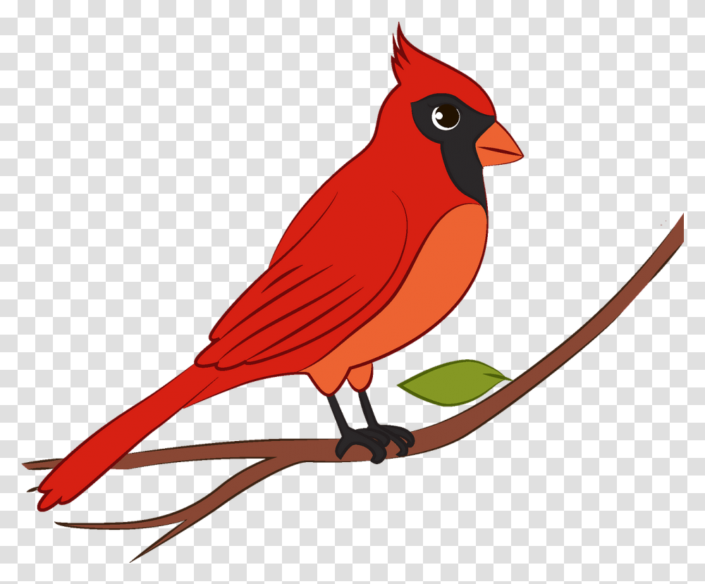 Cardinal Clipart Cardinal Clipart, Bird, Animal, Finch Transparent Png