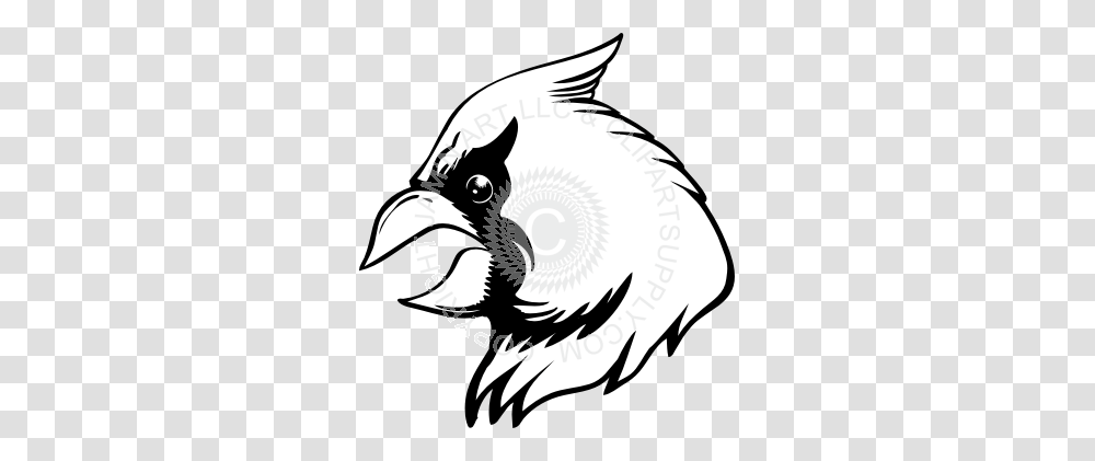 Cardinal Clipart Face, Animal, Bird, Soccer Ball, Football Transparent Png