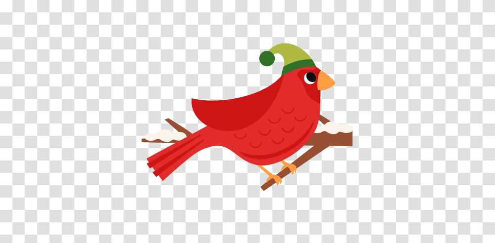 Cardinal Clipart, Finch, Bird, Animal, Canary Transparent Png