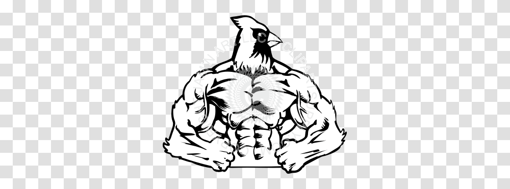 Cardinal Clipart Muscular, Stencil, Hand, Drawing, Claw Transparent Png