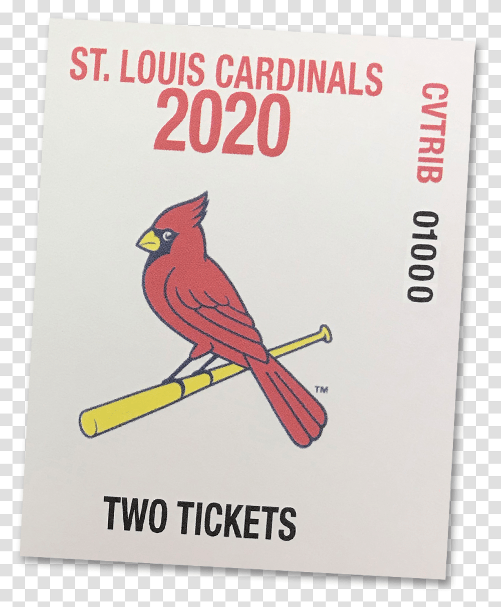 Cardinal Clipart St Louis Cardinals, Bird, Animal Transparent Png