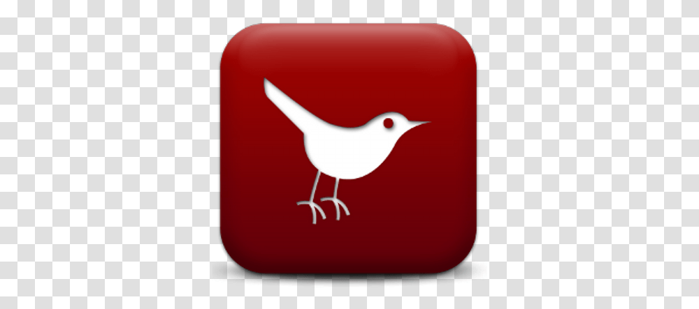Cardinal Morons Twitter Icon, Bird, Animal, Wren Transparent Png