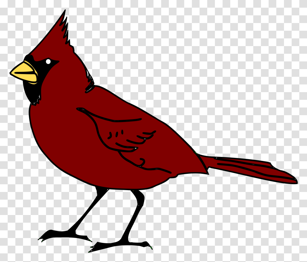 Cardinal Red Robin Bird Cartoon, Animal, Jay Transparent Png