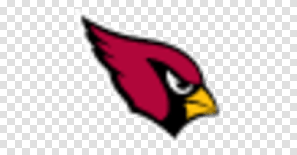 Cardinals Arizona Cardinals Logo, Animal, Bird, Beak Transparent Png