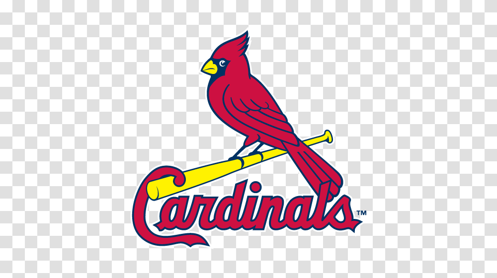 Cardinals Vs Cubs, Animal, Bird, Finch Transparent Png