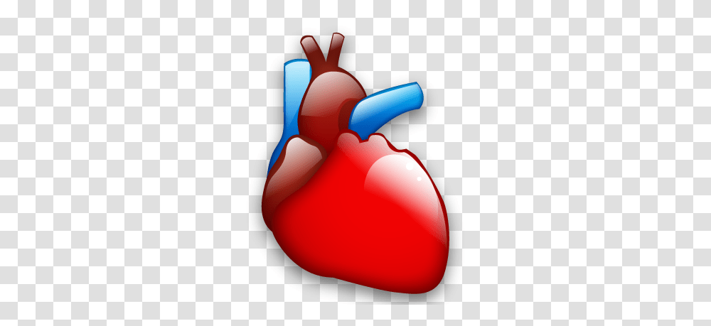 Cardiology Heart Organ Icon Cardiology Icon, Plant, Food, Pepper, Vegetable Transparent Png