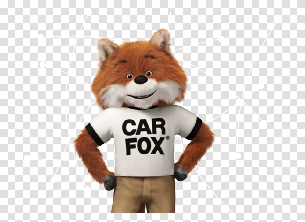 Carfax Car Fox Advertising Photo Carfax Carfax, Mascot, Bow Transparent Png