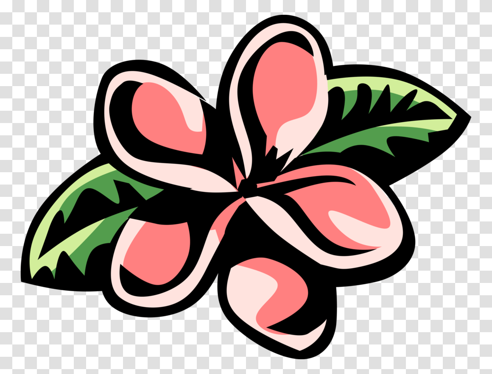 Caribbean Flowering Plant Image Illustration Of Botanical Plumeria Clip Art, Floral Design, Pattern, Blossom Transparent Png