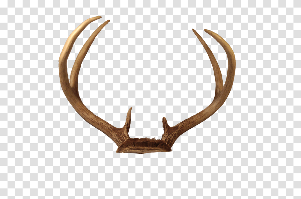 Caribou Antlers Clip Art, Snake, Reptile, Animal Transparent Png