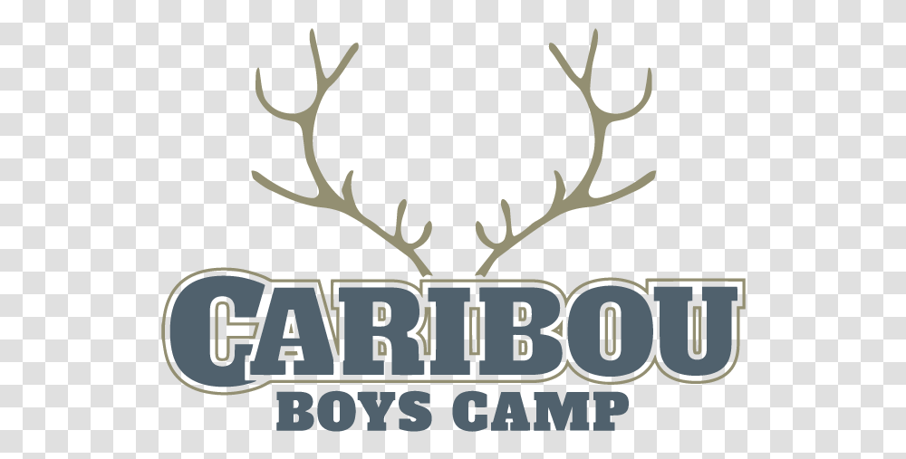 Caribou Boys Camp Antler, Poster, Advertisement, Text, Alphabet Transparent Png