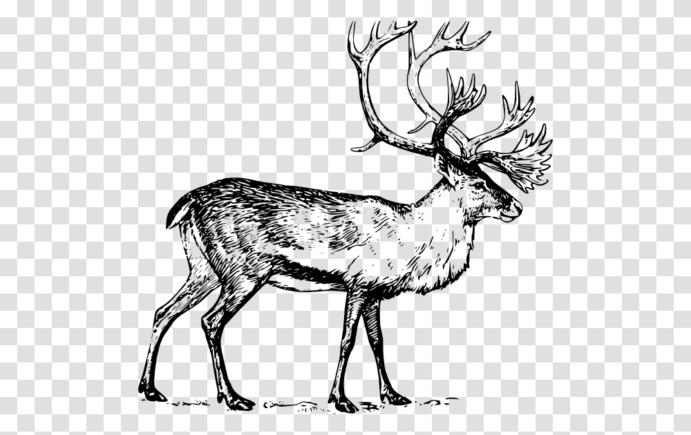 Caribou Clipart Clip Art, Elk, Deer, Wildlife, Mammal Transparent Png