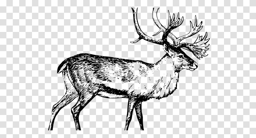 Caribou Clipart Polar Express, Antler, Deer, Wildlife, Mammal Transparent Png