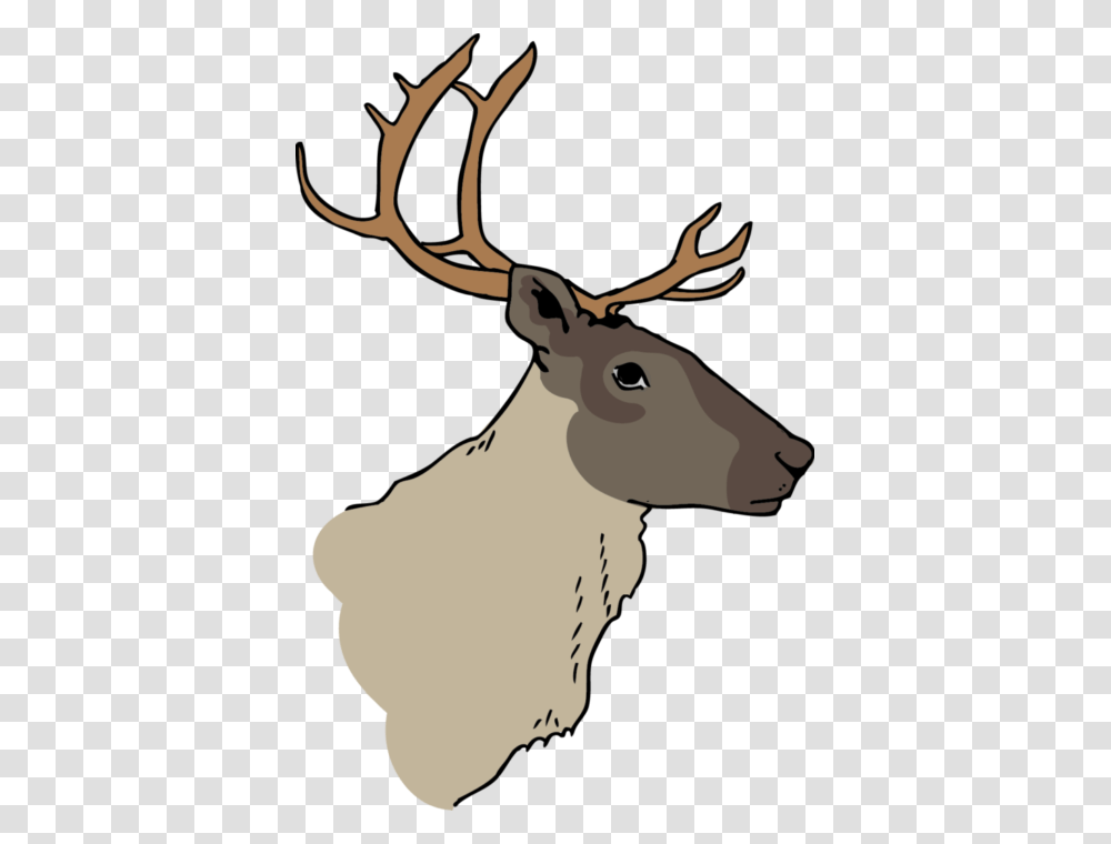 Caribou Figure Cpaws V2 Elk, Deer, Wildlife, Mammal, Animal Transparent Png