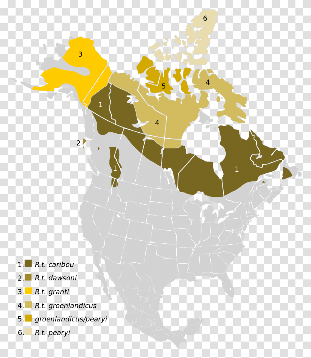 Caribou Range North America Download Caribou Range North America, Map, Diagram Transparent Png