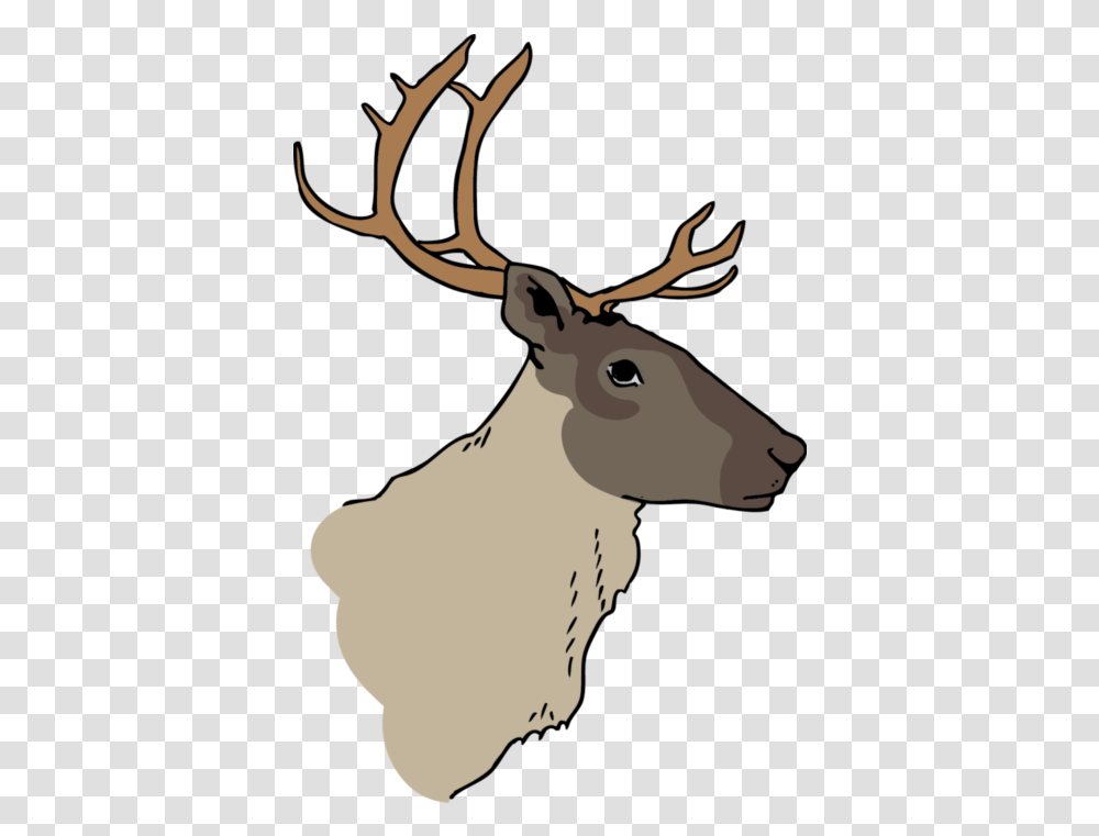 Caribou You Elk, Deer, Wildlife, Mammal, Animal Transparent Png