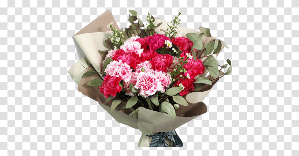 Carnation Carnation Bouquet Flowers For Teachers Uk Rose Nursery Plants, Blossom, Flower Bouquet, Flower Arrangement Transparent Png