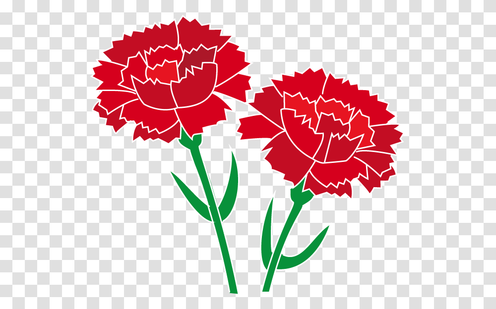 Carnation Carnation Clipart, Plant, Flower, Blossom, Dynamite Transparent Png