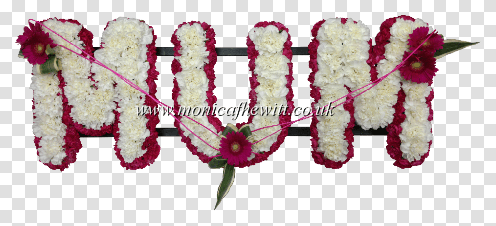 Carnation Carnation & Bordered Mum Carnation Funeral Artificial Flower, Plant, Blossom, Ornament, Flower Arrangement Transparent Png