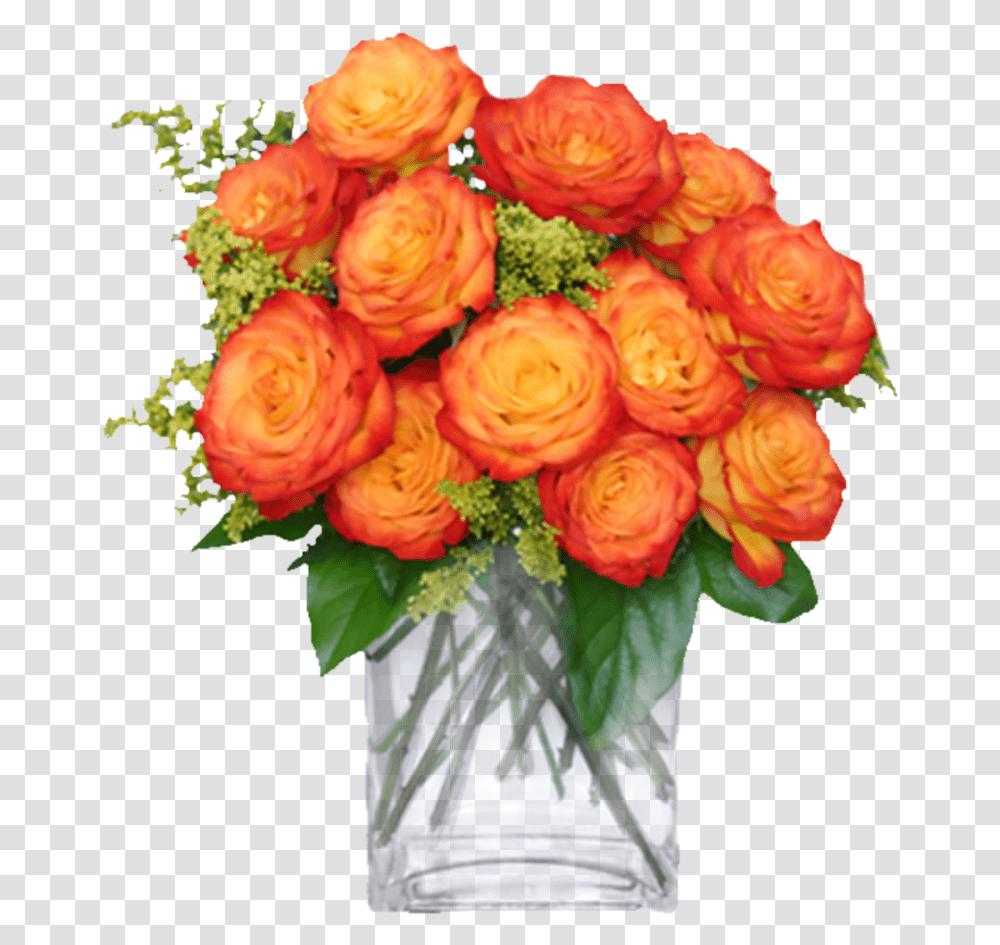 Carnation Carnations Flor Flores Flower Flowers Circus Roses, Floral Design, Pattern Transparent Png
