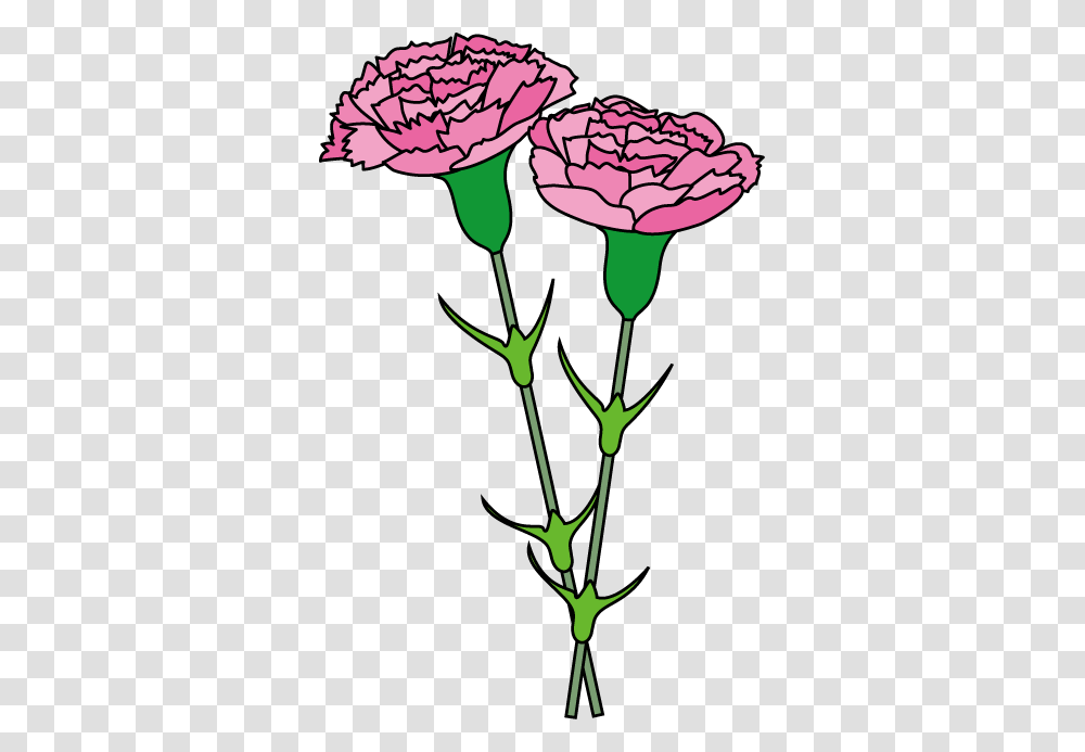 Carnation Clip Art, Plant, Flower, Blossom, Flower Arrangement Transparent Png