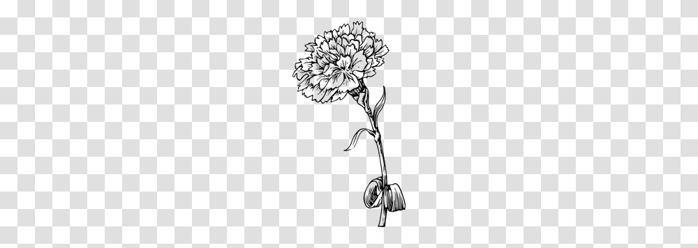 Carnation Clip Arts For Web, Gray, World Of Warcraft Transparent Png