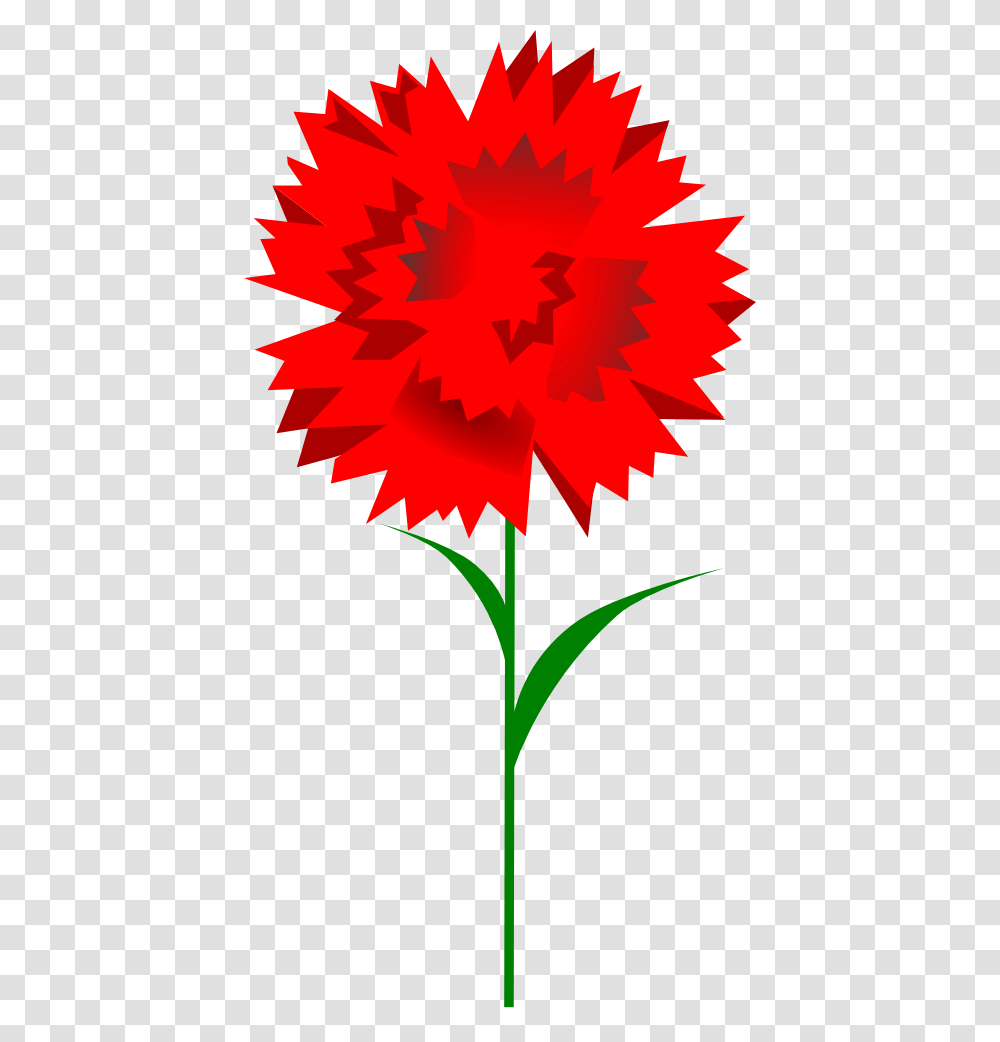 Carnation Clipart, Plant, Leaf, Flower, Blossom Transparent Png