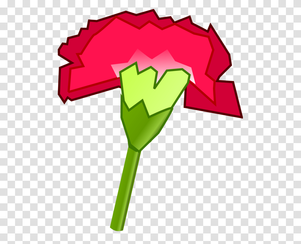 Carnation Download Computer Icons Ohio State Flower Free, Plant, Food, Produce, Fruit Transparent Png