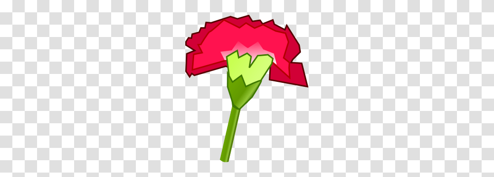 Carnation Flower Clip Art, Plant, Produce, Food, Vegetable Transparent Png