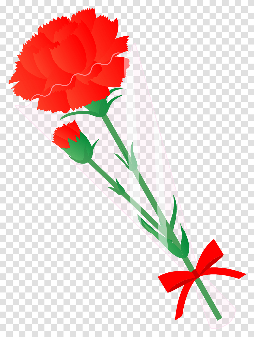 Carnation Flower Clipart Floral, Plant, Blossom, Flower Bouquet, Flower Arrangement Transparent Png