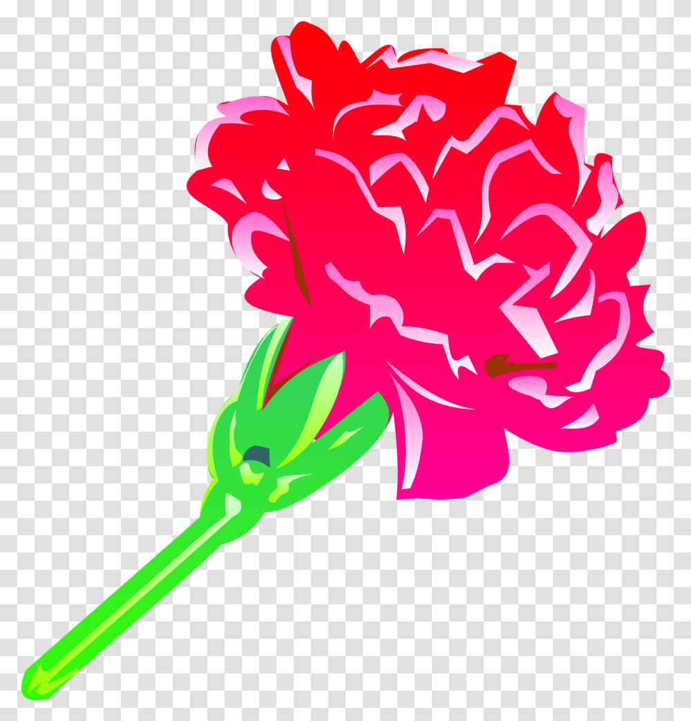 Carnation Flower Petals Cravo Flor Desenho, Plant, Blossom Transparent Png