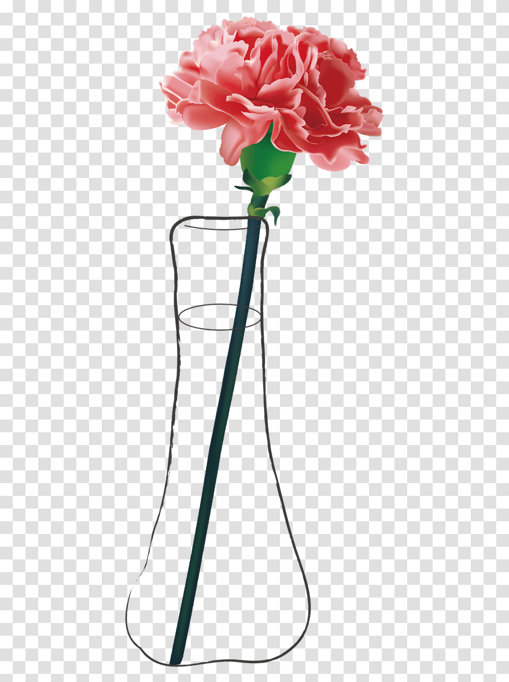 Carnation Flower, Plant, Blossom, Bow, Machine Transparent Png