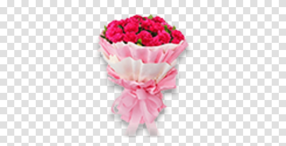 Carnation Love Flower Happy Teachers Day Gift, Plant, Blossom, Flower Bouquet, Flower Arrangement Transparent Png