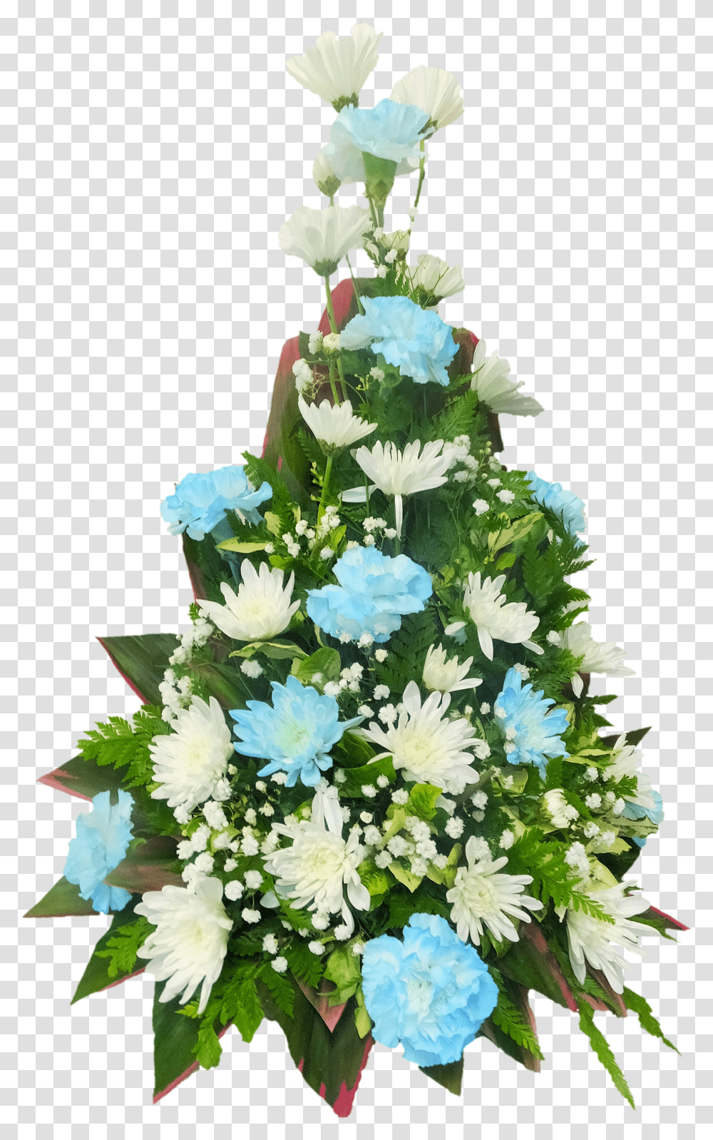 Carnation Transparent Png