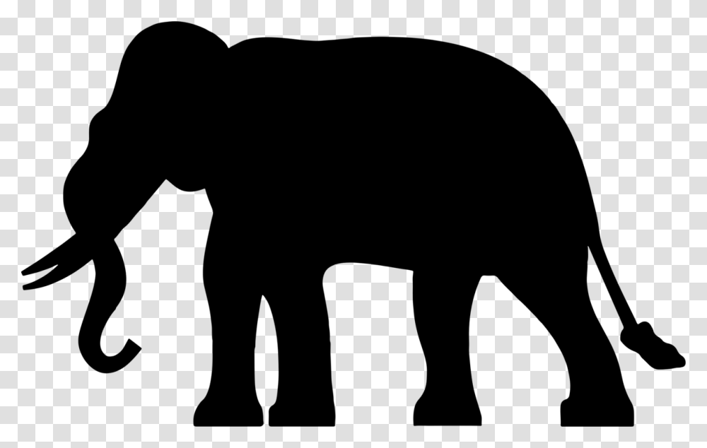 Carnivoranhuman Behaviorindian Elephant Elephant Silhouette, Gray, World Of Warcraft Transparent Png