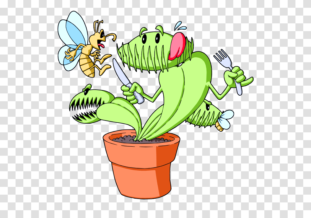 Carnivores Plants India, Wasp, Bee, Insect, Invertebrate Transparent Png