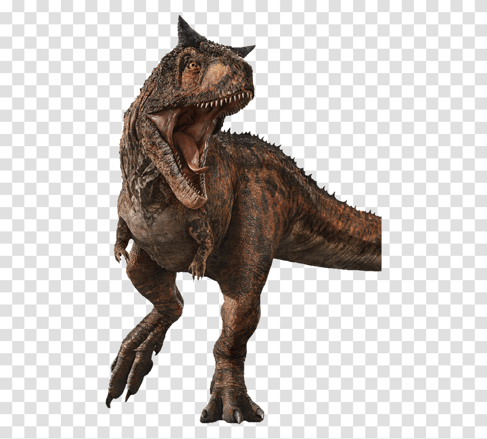Carnotaurus Jurassic Park Jurassic World Fallen Kingdom Carnotaurus, T-Rex, Dinosaur, Reptile, Animal Transparent Png