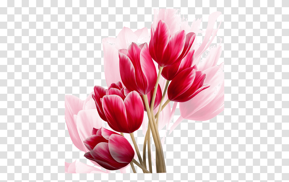 Carolina Herrera Perfume Collage, Plant, Flower, Blossom, Tulip Transparent Png