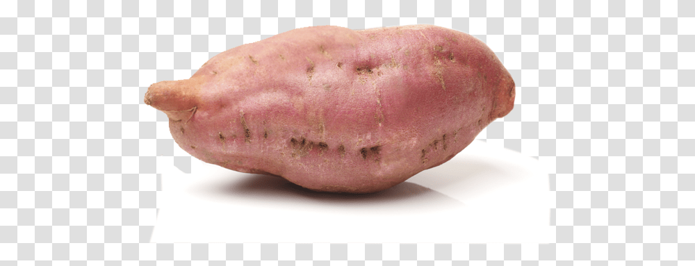 Carolina Innovative Food Ingredients Sweet Potato, Plant, Vegetable, Produce, Yam Transparent Png