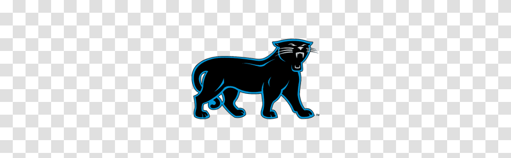 Carolina Panthers Alternate Logo Sports Logo History, Animal, Mammal, Wildlife, Jaguar Transparent Png
